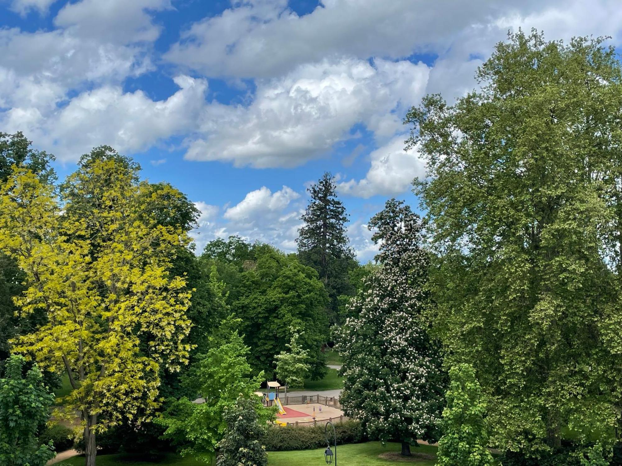 Le Joyau Des Parcs Classe 4 Etoiles Appartement Central Au Calme Avec Terrasse Vichy Exteriör bild